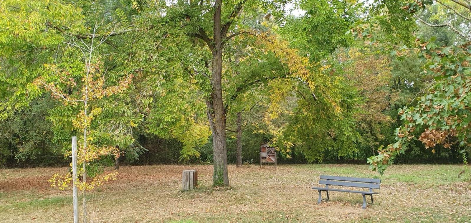 La Maison des Cornières Fourcès Esterno foto